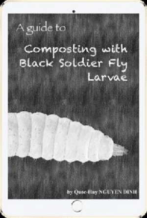 LARVA SOLDER