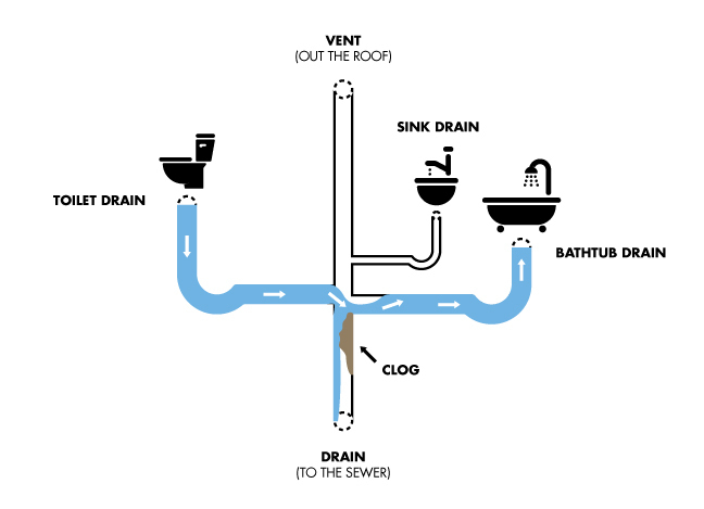 drain diagram bathroom CLEAN2