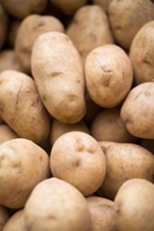 sweet potato